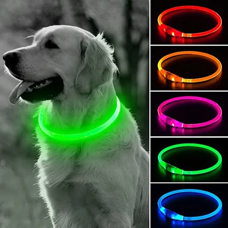 "Coleira de cachorro LED luminosa com USB"